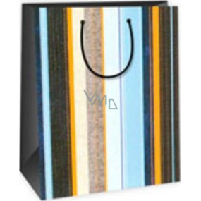 Ditipo Darčeková papierová taška 26,4 x 13,6 x 32,7 cm modro hnedo oranžové zvislé pruhy DAB