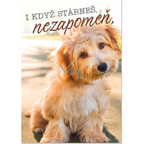 Ditipo Hracie želanie Aj keď starneš, nezabudni Petr Novák Priateľstvo na n-tú 224 x 157 mm