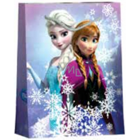 BSB Luxusná darčeková papierová taška 22,9 x 17,5 x 9,8 cm Frozen DT M