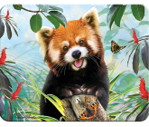 Prime3D magnet - Panda Červená 9 x 7 cm