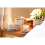 Yankee Candle Citrus Grove - Citrusový háj sójová vonná sviečka Elevation stredné sklo 3 knôty 347 g