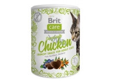 Brit Care Cat Snack Chrumkavý kuracie maškrtu s rakytníkom a čučoriedkami doplnkové krmivo pre dospelé mačky 100 g