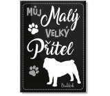 Nekupto Pets magnet Bulldog 66 x 90 x 2 mm