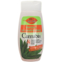 Bione Cosmetics Cannabis šampón na mastné vlasy 260 ml