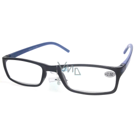 Berkeley Čítacie dioptrické okuliare +1,0 plast čierne modré stranice 1 kus MC2 ER4045