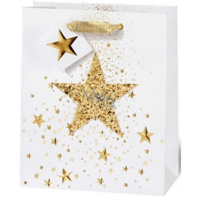 BSB Luxusná darčeková papierová taška 23 x 19 x 9 cm Vianočný biela s 3D hviezdičkou VDT 426-A5