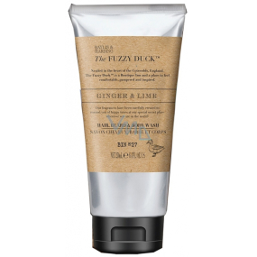 Baylis & Harding Men Zázvor a Limetka 2v1 umývací gél na vlasy a telo pre mužov 250 ml