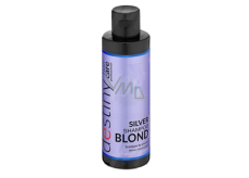 Professional Hair Care Destivii Silver šampón na blond vlasy 200 ml