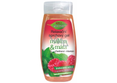 Bion Cosmetics Malina & Mäta relaxačný sprchový gél pre všetky typy pokožky 250 ml