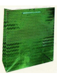 Nekupto Darčeková papierová taška hologram standart 23 x 18 x 10 cm Zelená THM