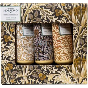 Heathcote & Ivory Iris & Cardamone krém na ruky 3 x 30 ml, kozmetická sada