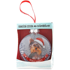 Albi Sklenená vianočné ozdôbky so zvieratkami - Yorkshirský teriér 7,5 cm x 8 cm x 3,6 cm
