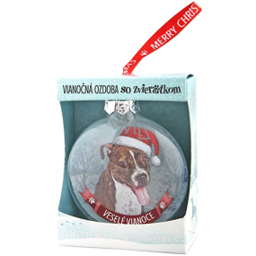 Albi Sklenená vianočné ozdôbky so zvieratkami - Staford bulteriér 7,5 cm x 8 cm x 3,6 cm