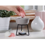 Yankee Candle Fresh Cut Roses - Čerstvo narezané ruža vonný vosk do aromalampy 22 g