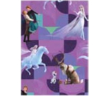 Ditipo Darčekový baliaci papier 70 x 200 cm Vianočný Disney Ľadové kráľovstvo fialový