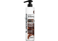 Delia Cosmetics Cameley šampón pre hnedé vlasy 250 ml