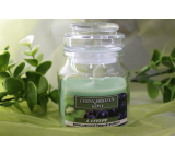 Lima Aroma Dreams Sklenička na aromatickú sviečku s viečkom z čierneho hrozna a kiwi 120 g