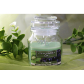 Lima Aroma Dreams Sklenička na aromatickú sviečku s viečkom z čierneho hrozna a kiwi 120 g