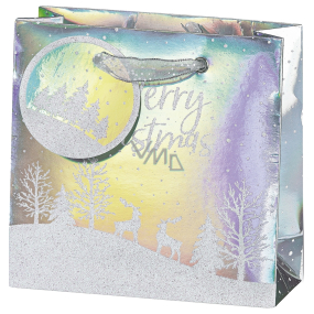 BSB Luxusná papierová darčeková taška 14,5 x 15 x 6 cm Vianočný hologram so zasneženou krajinou VDT 453 CD