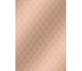 Ditipo Darčekový baliaci papier 70 x 100 cm Trendy Colours hnedý 2 listy