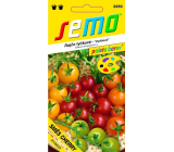 Semená paradajok Cherry Stick Zmes farieb 10 semien