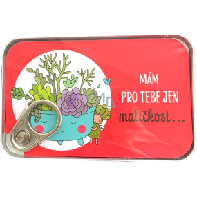 Albi Plechové vrecko na peniaze Mám pre vás malú drobnosť... 11 x 7 cm