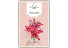 Bohemia Gifts Aromatická vonná karta Červené kvety jemná a čistá vôňa 10,5 x 16 cm