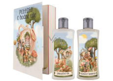 Bohemia Gifts Rozprávkový sprchový gél 250 ml + šampón na vlasy 250 ml, knižná kozmetická sada pre ženy