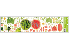 Okenná fólia Ovocný melón 64 x 15 cm