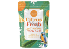 Kúpeľová soľ Elysium Spa Citrus Fresh 450 g