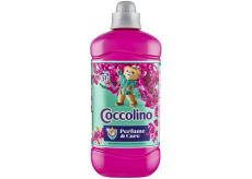 Coccolino Creations Snapdragon & Patchouli koncentrovaný zmäkčovač 51 dávok 1,275 l