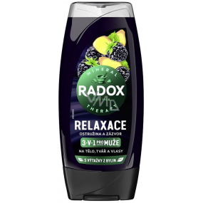 Radox Men 3v1 Relaxácia Ostružina a zázvor sprchový gél pre mužov 225 ml