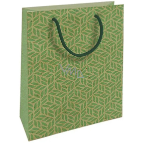 Nekupto Darčeková kraftová taška 18,7 x 24,3 x 8 cm Zelená grafika