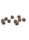 Rudraksha prírodný korálik 9 mm, 10 kusov