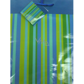 Nekupto Darčeková papierová taška 23 x 18 x 10 cm Pruhy zelenomodré 1 kus 32240