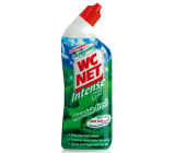 Wc Net Intense Mountain Fresh wc gélový čistič 750 ml