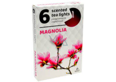 Čajové sviečky Magnólia s vôňou čajových sviečok 6 kusov