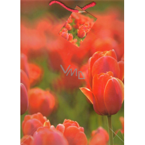 Nekupto Darčeková papierová taška 32,5 x 26 x 13 cm Tulipány 1 kus 765 30 BL