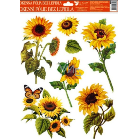 Okenné fólie bez lepidla slnečnica oranžový motýľ 42 x 30 cm 1 kus
