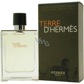 Hermes Terre D Hermes toaletná voda pre mužov 50 ml