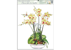 Okenné fólie bez lepidla orchidey žlto-biela 42 x 30 cm