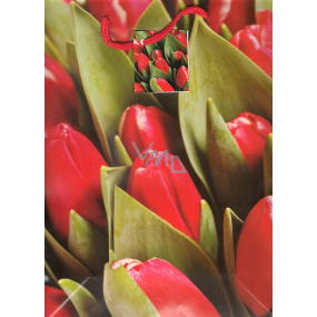 Nekupto Darčeková papierová taška 32,5 x 26 x 13 cm Červené tulipány
