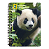 Prime3D zošit A5 - Panda 14,8 x 21 cm