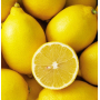 Village Candle Rebarborová limonáda - Rhubarb Lemonade vonná sviečka v skle 2 knôty 262 g
