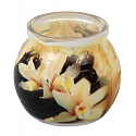 Admit Vanilla dekoratívna aromatická sviečka v skle 80 g