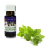 Slow-Natur Mäta pieporná Vonný olej 10 ml