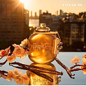 Coach Gold Parfum parfém pre ženy 90 ml