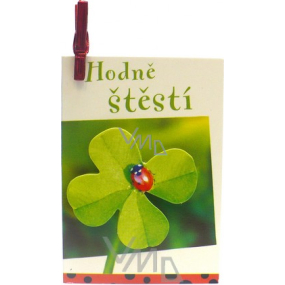 Nekupto Darčeková kartička Veľa šťastia 7 x 5,5 cm 1 kus