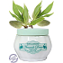 Jeanne en Provence Amanda Douce Sladké mandle telový krém 200 ml