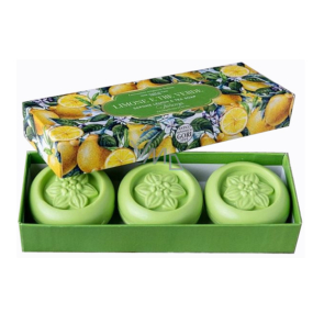 Antico Saponificio Gori Fiorenza Limone e Té Verde ručne vyrobené talianske mydlo 3 x 90 g